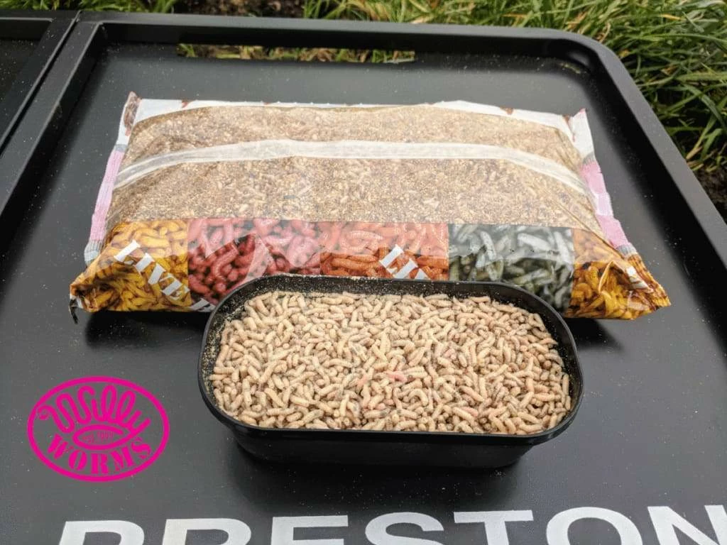 Cheap ๐ฅฐ Willy Worms Live Bait White Pinkies ๐ 4 Willy Worms Live Bait White Pinkies