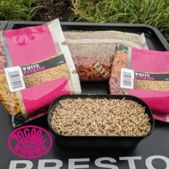 Willy Worms Live Bait White Pinkies