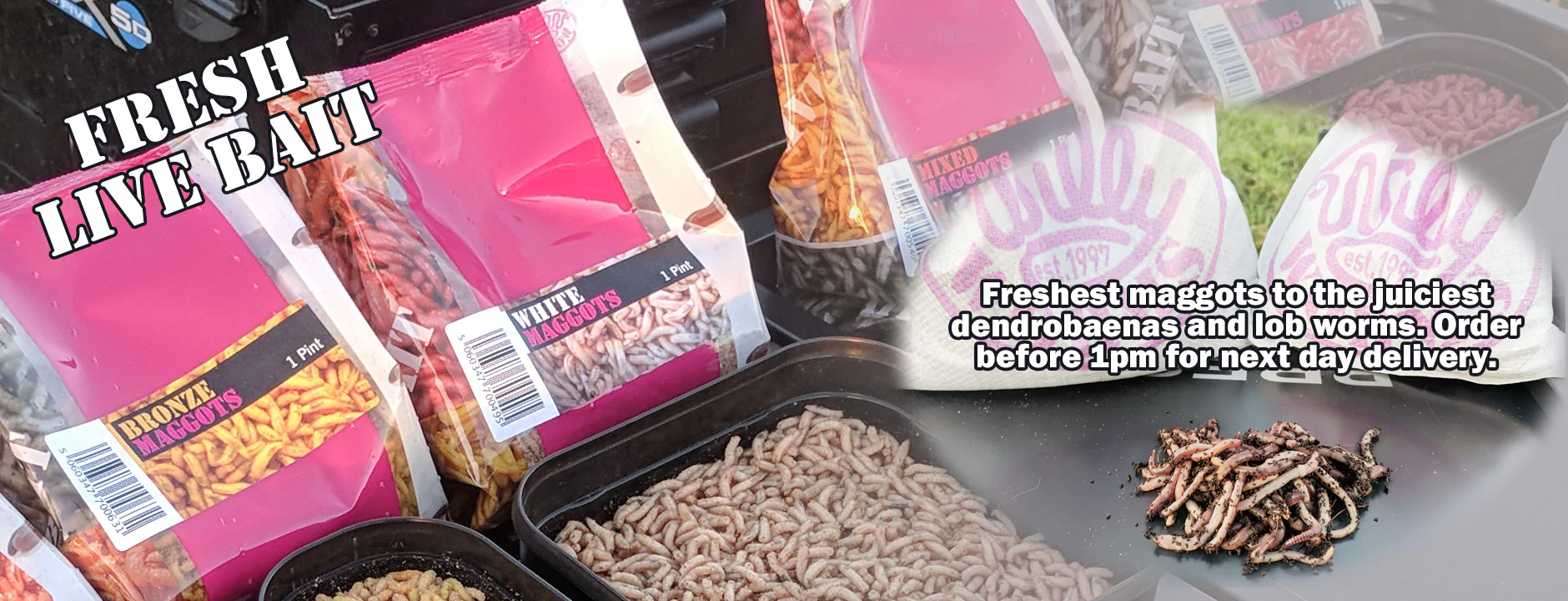 Willy Worms Sales 2 Willy Worms Sales -Willy Worms Sales 1